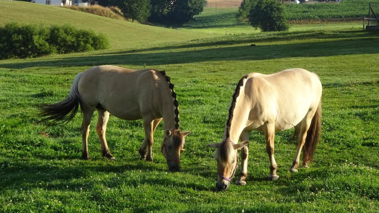 Zielono Mi - Dom Goscinny W Lapalicach Lapalice Esterno foto